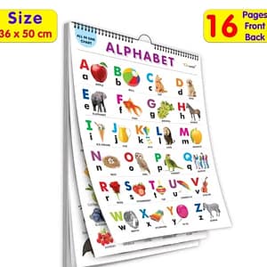 English Chart for Kids (16 Charts) 36 x 50 cm | Educational Spiral Wall Picture Chart for Children