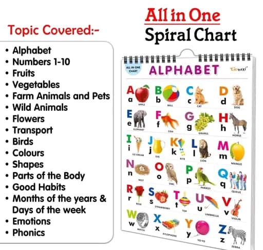 English Chart for Kids (16 Charts) 36 x 50 cm | Educational Spiral Wall Picture Chart for Children - Image 4