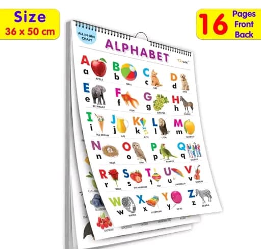 English Chart for Kids (16 Charts) 36 x 50 cm | Educational Spiral Wall Picture Chart for Children
