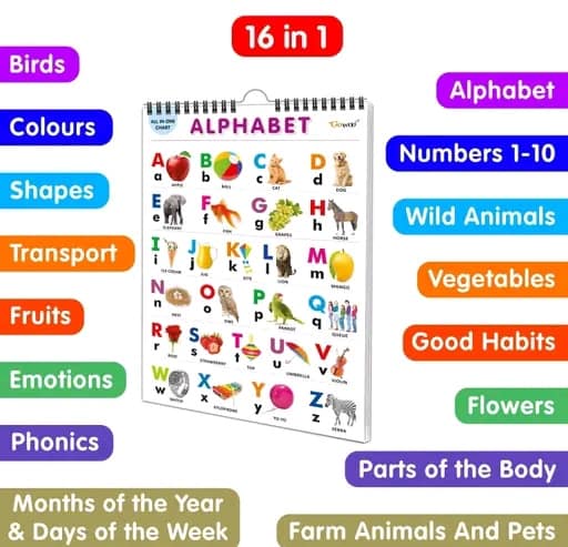 English Chart for Kids (16 Charts) 36 x 50 cm | Educational Spiral Wall Picture Chart for Children - Image 2
